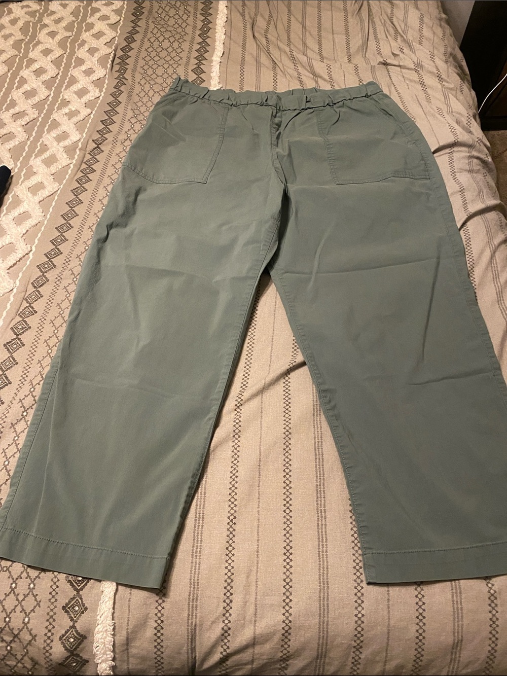 GAP Women's Wide-Leg Pants in Sage Green